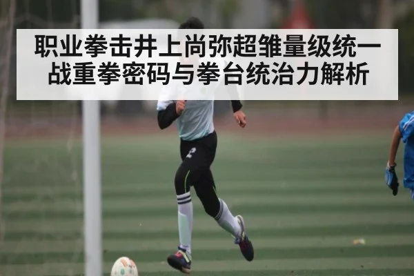职业拳击井上尚弥超雏量级统一战重拳密码与拳台统治力解析 - kaiyun